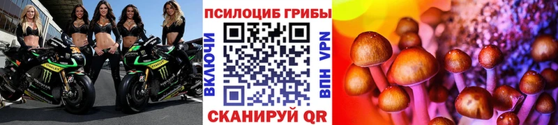 Псилоцибиновые грибы MAGIC MUSHROOMS  Наволоки 