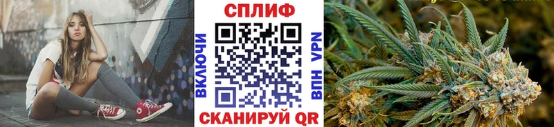 Бошки Шишки семена  как найти   Наволоки 